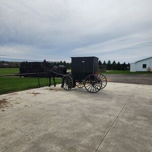 Meet your Posher, Brandy